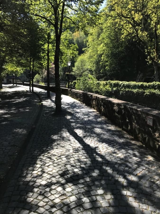 Eifelerhof Hotel Monschau Buitenkant foto